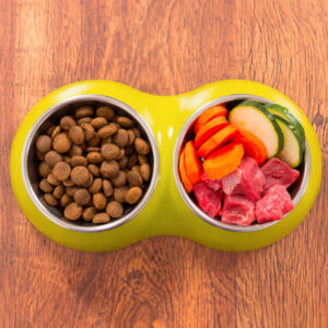 L'immagine mostra due ciotole piene di cibo per la dieta casalinga di cani e gatti.